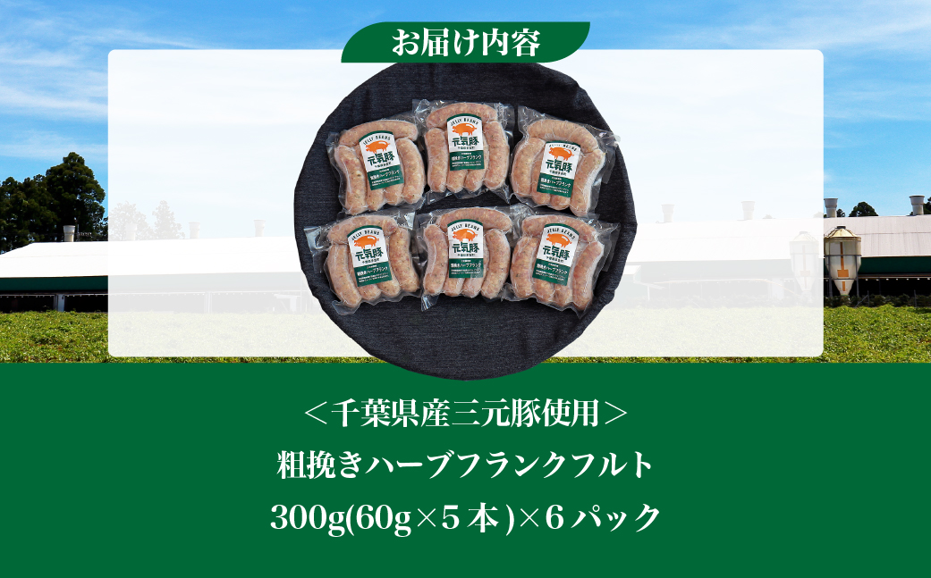 【千葉県多古町産】粗挽きハーブフランクフルトソーセージ 30本セット(60g×30本)【配送不可地域：離島・沖縄県】 TAKB016