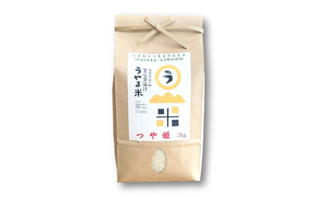 【全3回定期便】うやま米 つや姫 10kg（2kg×5）[AIDB091] 米 定期便