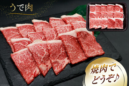 肉 牛肉 宮崎牛 牛うで肉 焼肉用 400g×3 計1.2kg [牛心フードサービス 宮崎県 美郷町 31bm0021] 冷凍 小分け 焼肉 ブランド牛 ウデ ウデ肉 うで うで肉 ブランド牛