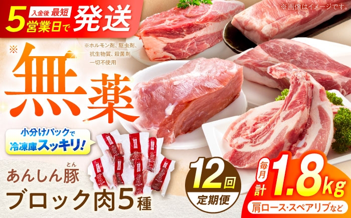 
            【12回定期便】あんしん豚 ブロックセット 毎月1.8kg 合計21.6kg 豚肉 ロース モモ カタ 詰合せ 国産 豚肉 国産 国産豚肉 小分け ブロック ブロック肉 セット 冷凍 真空パック 薄切り 厚切り ポーク 肩ロース ロース モモ カタ スペアリブ 豚肩ロース 豚ロース 豚モモ 1.8kg 21.6kg  定期便 20万円 200000円 白川町 / 藤井ファーム [AWAF027]
          