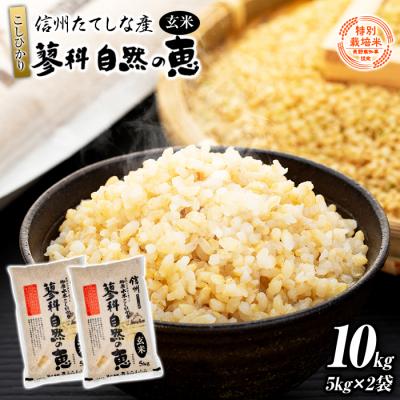 ふるさと納税 立科町 【令和8年産米】信州たてしな産 蓼科自然の恵 (玄米) 10kg