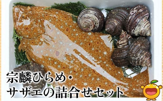 宗麟ひらめ・サザエの詰合せセット  ヒラメ 平目 鮃 刺身 刺し身 生魚 新鮮 大分県産 九州産 津久見市 国産