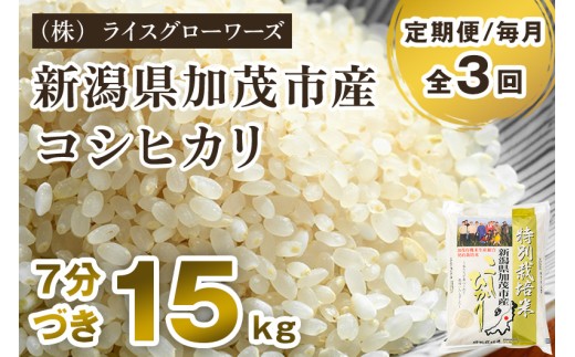 【令和8年産新米先行予約】【定期便3ヶ月毎月お届け】7分づき 特別栽培米 コシヒカリ 精米 15kg（5kg×3）《10月上旬～順次出荷》 従来品種コシヒカリ （株）ライスグローワーズ 新潟県 加茂市産 白米 米 お米 定期便