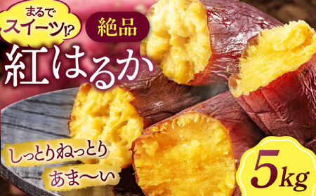 紅はるか 5kg 紅はるか[AGAP020]