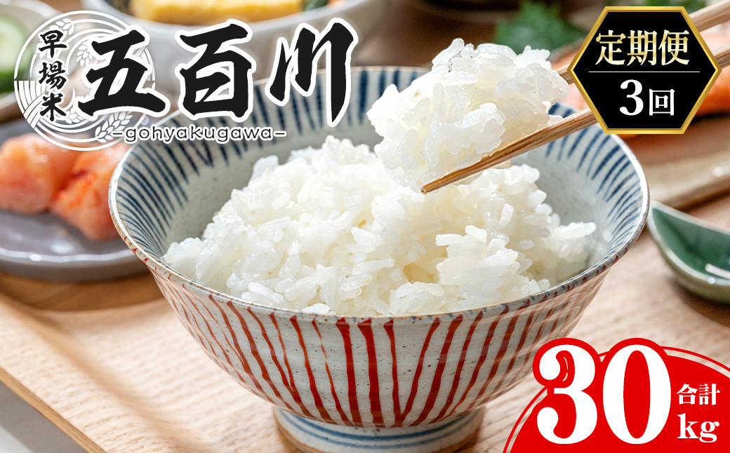 
                  【令和8年産】＜3か月定期便＞五百川 合計30kg (10kg×3回) お米 おこめ 米 コメ 白米 早場米 極早生品種 ご飯 ごはん おにぎり お弁当 頒布会【赤間農業開発株式会社】ta462
                