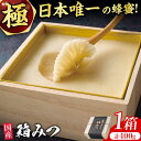 【ふるさと納税】【先行受付 令和6年12月より発送】極箱みつ 400g 蜂蜜 はちみつ ハチミツ 広川町 / 株式会社九州蜂の子本舗[AFAI010]