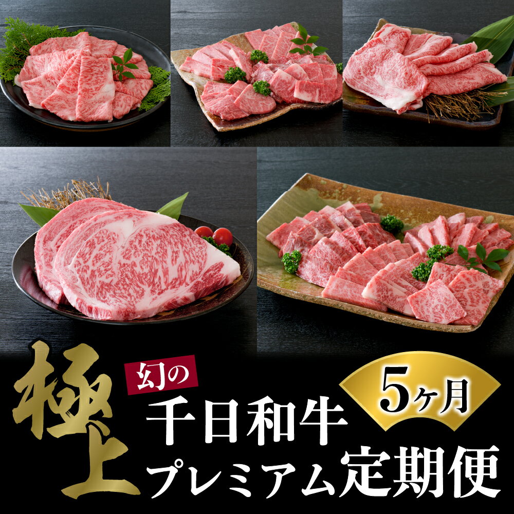 【ふるさと納税】【数量限定】山形牛 5ヶ月 肉 定期便【黒毛和牛 ブランド 和牛】牛肉 千日和牛 国産 山形県産 特選 すき焼 焼き肉 サーロイン ステーキ 上肩ロース 盛り合わせ お取り寄せ グルメ 冷凍 送料無料