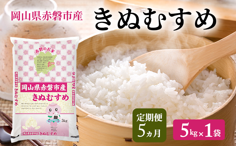 米 2025年産 定期便 5ヵ月 きぬむすめ 5kg 1袋 岡山県赤磐市産 精米 白米 こめ お米 特Aランク 5回