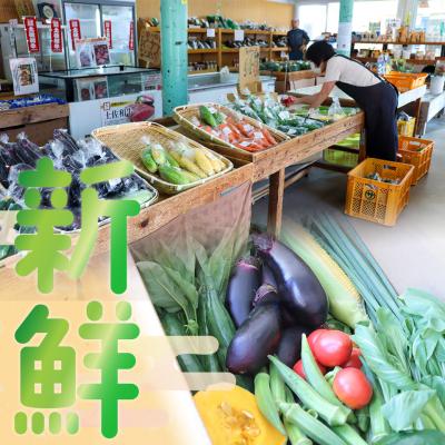 ふるさと納税 佐川町 <年4回定期便> はちきんの店 野菜 セット 7~10品 |  | 02