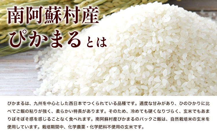 ぴかまる パックご飯 10個パック ごはん 米 パックライス 南阿蘇村産 一般社団法人南阿蘇村農業みらい公社《30日以内に出荷予定(土日祝を除く)》熊本県 南阿蘇村 送料無料 お米 米 ご飯 玄米 パ