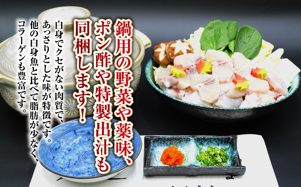 長崎とらふぐ鍋2人前 ／ 海鮮 フグ ふぐ てっちり 鍋 鍋セット ふぐ鍋 海鮮鍋 長崎県 長崎市