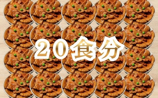 【2027年4月配送】北海道のぶた丼 20食（2食入り250g×10袋）北海道産豚肉使用 ホクレン