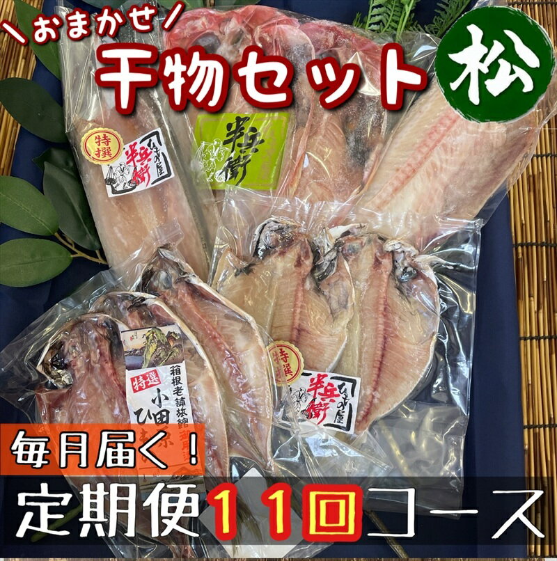 【毎月定期便11回】厳選！小田原の旬の干物セット 松【 まぐろや 神奈川県小田原市 】