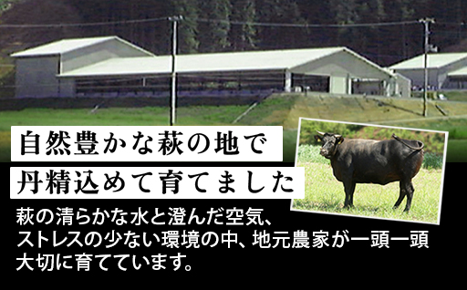 【数量限定】山口県萩市産 見蘭牛 切り落とし 500g (250g×2)国産  肉 お肉 牛｜HG000068