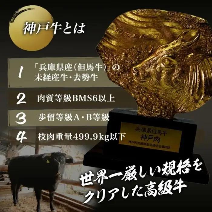 A5等級神戸牛（神戸ビーフ）ブロック肉 サーロイン 500ｇ［神戸牛専門店 神戸ぐりる工房］