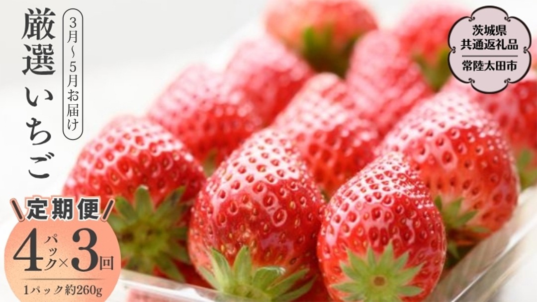 
            【定期便 全3回】厳選いちご 4パック×3回 2026年3月～5月お届け（茨城県共通返礼品／常陸太田市） 2026年3月発送開始 フルーツ 苺 イチゴ いちご 新鮮 朝採れ 茨城県 桧山FRUITFARM [DY025sa]
          