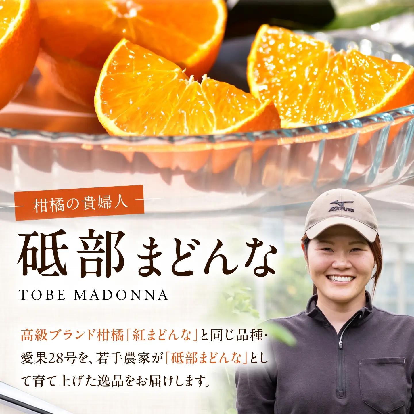 みかん 紅まどんな 約2kg【11月中旬から12月下旬まで順次発送】/ フルーツ 果物 柑橘 蜜柑 ミカン オレンジ まどんな マドンナ 紅マドンナ 砥部まどんな 愛果28号 約2kg 甘い 先行予約