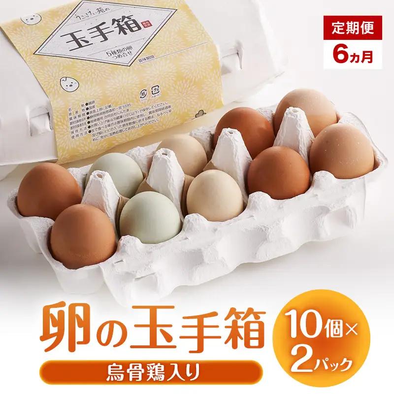 卵 卵の玉手箱 10個×2パック 6ヵ月 定期便 卵