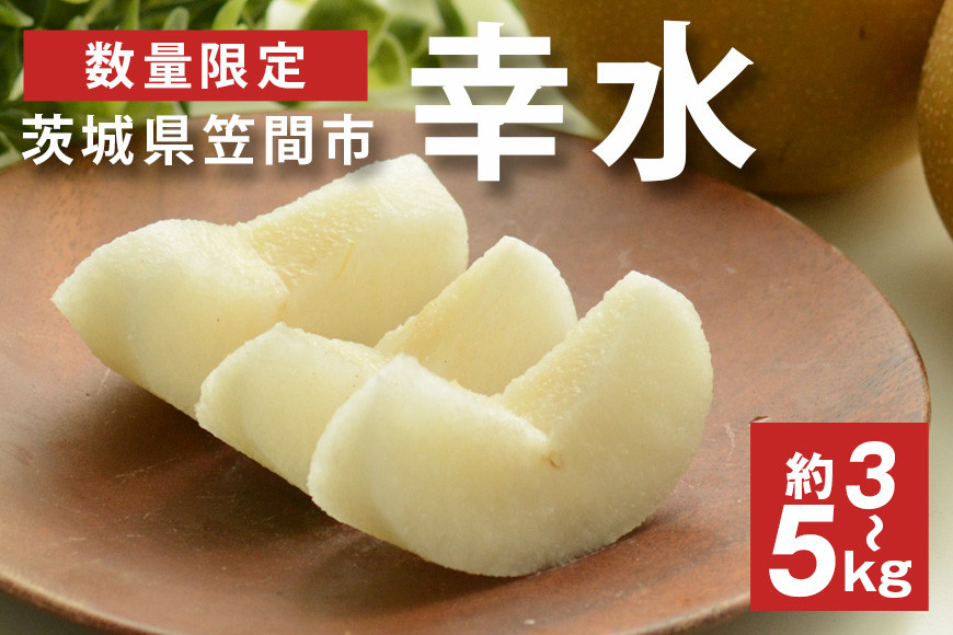 
            【先行予約】【数量限定】 梨 幸水 3kg 5kg 6～18個入り 大玉 L～5Lサイズ 柴沼梨園 ナシ なし 国産 茨城 秋 旬 フルーツ 果物 旬の果物 くだもの サイズ 和梨 品種 幸水梨 産地 茨城県 笠間市 くだもの 果肉 酸味 ギフト 贈答用 家庭用 【8月中発送】
          
