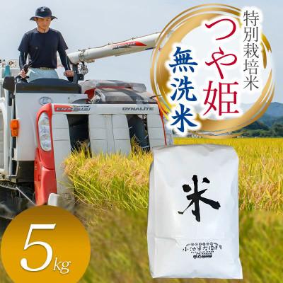 ふるさと納税 鶴岡市 数量限定【令和7年産】山形県庄内産 小池半左衛門のお米 特別栽培米 つや姫【無洗米】5kg