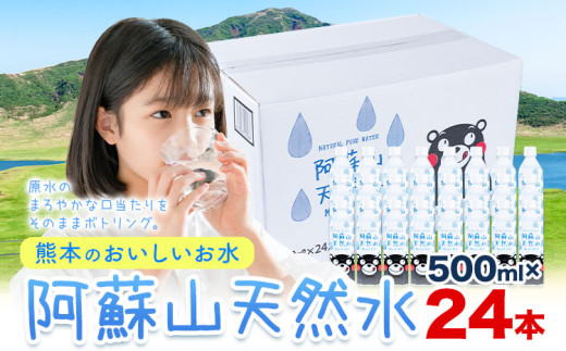 水 熊本 の おいしい お水 阿蘇山 天然水 500ml × 24本 1ケース  丸富産業《30日以内に出荷予定(土日祝除く)》熊本県 御船町 水 天然水 みず 熊本 飲料 熊本県 ミネラルウォーター