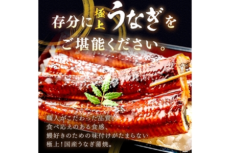 【定期便 隔月×3回】超特大！極上！国産うなぎ蒲焼 2尾 合計500g前後