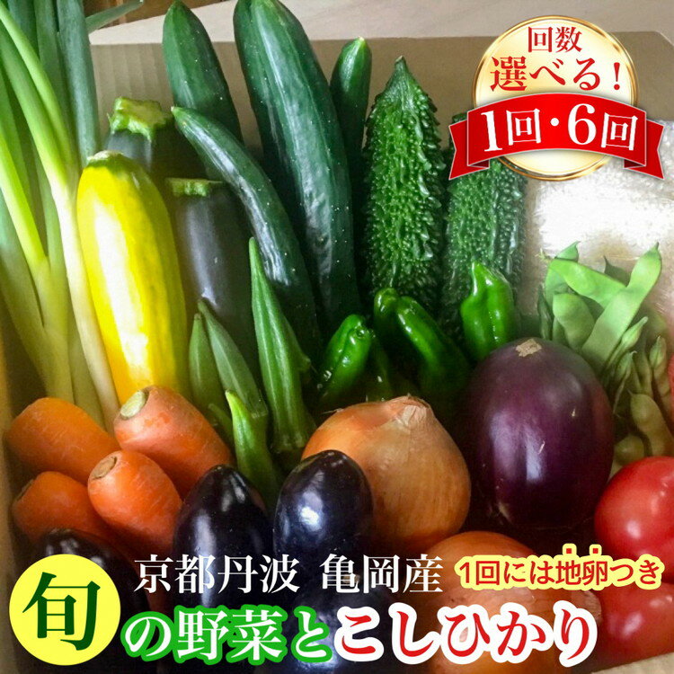 【ふるさと納税】京都丹波・亀岡発 旬の 野菜 こしひかり 詰め合わせ セット 選べる 定期便 6回 (隔月6回お届け)〇 ≪京野菜 令和6年産 米 定期便 地卵 卵つき≫定期便　 ※北海道・沖縄・離島への配送不可 定期便楽天限定