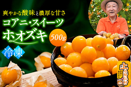 【9月下旬～12月下旬発送】《冷凍》コアニ・スイーツホオズキ 500g 食用ほおずき ゴールデンベリー スーパーフード たじゅうろう農園【先行予約】