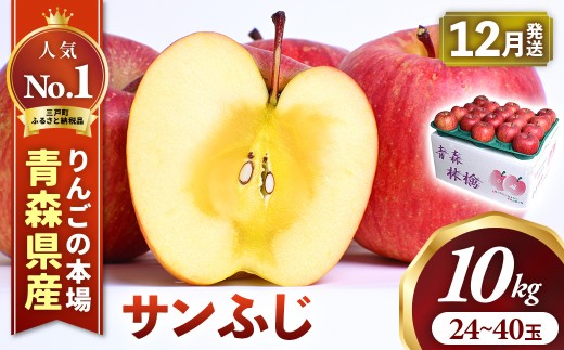 りんご【サンふじ】 約10kg（24～40玉）【2026年産・先行予約】★2026年12月上旬～12月中旬頃発送予定★ 青森県三戸町産 りんご 林檎 フルーツ 果物 果実 青森 三戸 高級 贈答 ギフト プレゼント 産地直送 農家直送 青森県三戸町 AK-25-071