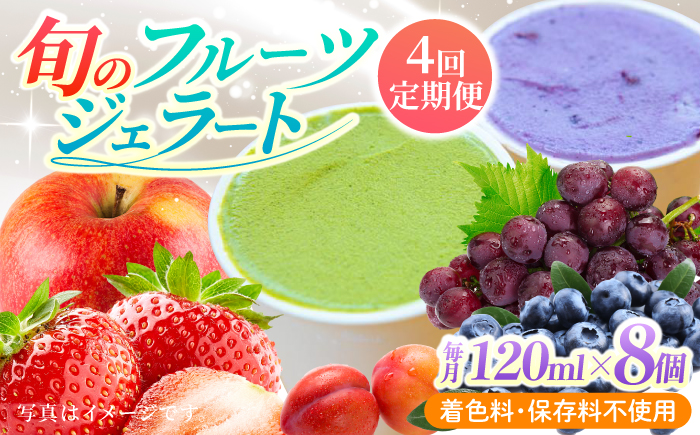 【年4回定期便】果樹園が作る 素材の味を楽しめる 旬のジェラート 120ml×8個セット【ソルベッチdoうきは】着色料不使用 ノンホモ牛乳使用 ジェラート アイス 旬 スイーツ 詰め合わせ セット シャーベット ミルク フルーツ デザート 定期便