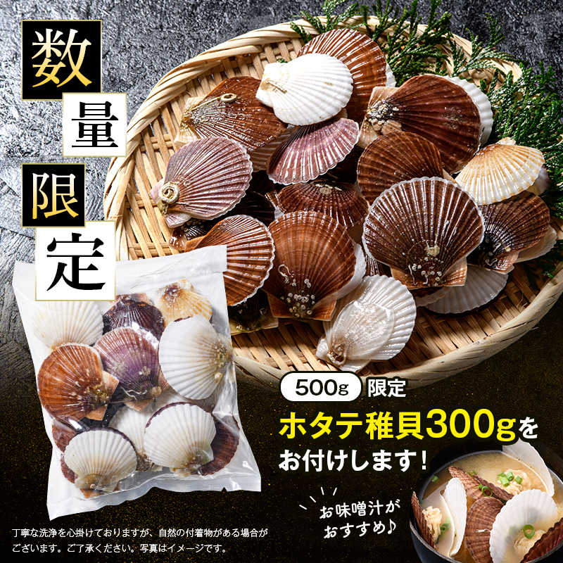 【訳あり】北海道産刺身用冷凍不選別フレークホタテ貝柱500g＋ 噴火湾産ホタテ稚貝300gセット ＜海鮮問屋　株式会社　瑞宝＞ 森町 ほたて 帆立 ホタテ 海産物 魚貝類 おつまみ 海鮮丼 魚介類 貝