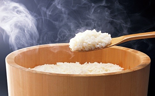 
                  自然の恵みたっぷり六郷米 10kg
                
