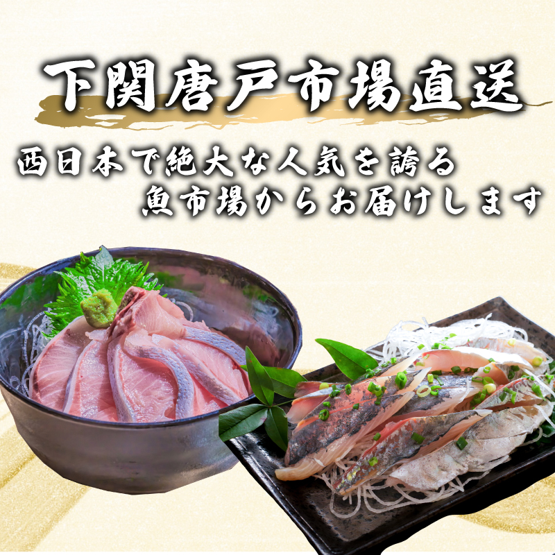 定期便 年12回 毎月 唐戸市場直送 高級お刺身 各2人前 ( 高級 鮮魚 魚介 海 冷凍 小分け 定期便 お楽しみ 人気 刺身 刺し身 さしみ お手軽 解凍するだけ 地魚 産地直送 ヒラメ いくら 