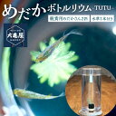 【ふるさと納税】めだか ボトルリウム -TUTU- めだかさん 2匹 おまかせ ガラス 容器 水草 1本 ウォーターコイン または ミリオフィラム メダカ 観賞魚 改良めだかさん 小型 円柱 水槽 ミックス 魚 ペット 鑑賞 若魚 国産 福岡県