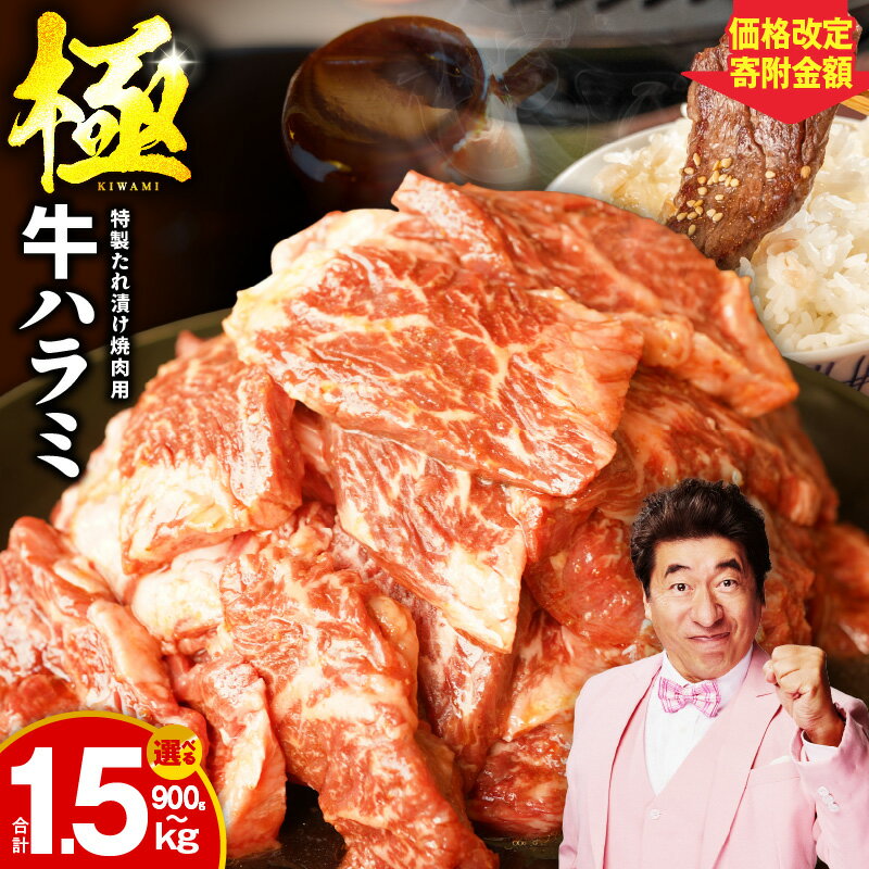 【ふるさと納税】【丸善特製ダレ】牛肉 ハラミ / 900g（300g×3） / 1.2kg（300g×4） / 1.5kg（300g×5） 【氷温熟成×極味付け】 氷温熟成牛 熟成肉 作り方 ふるさと納税オリジナル 限定 大阪府 泉佐野市 送料無料 肉の泉佐野