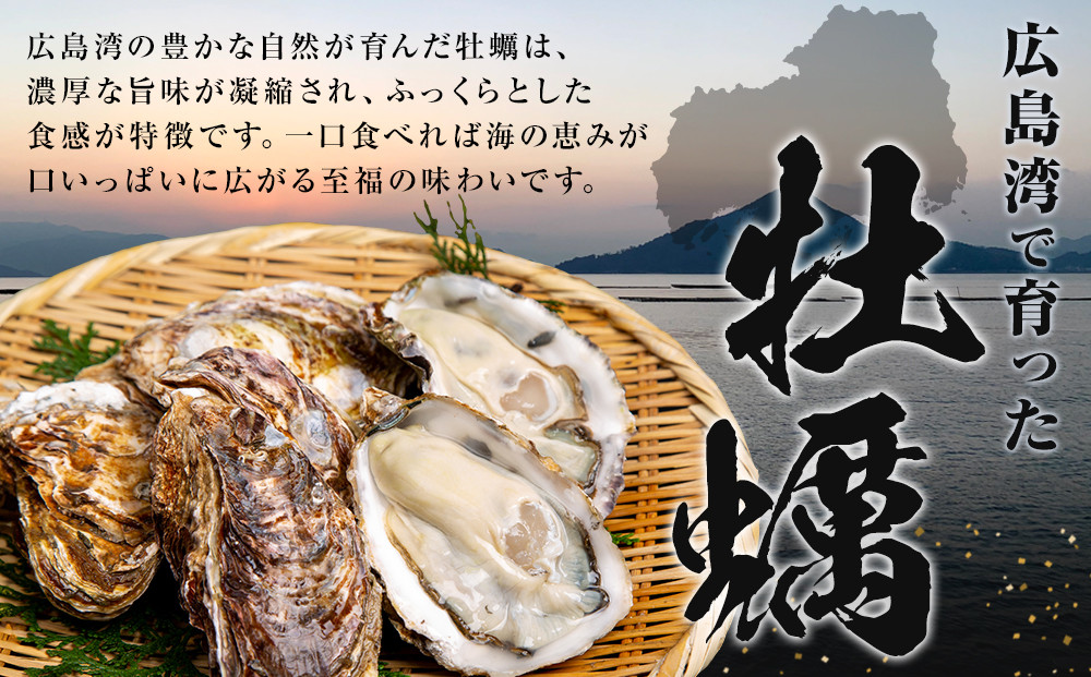 【先行予約】牡蠣 むき身 500g  加熱用（2026年1月上旬以降発送）
