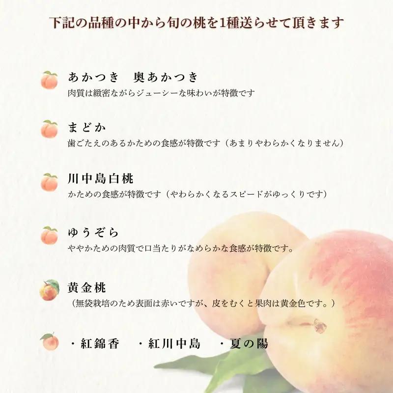 No.1760もも　8月収穫の桃 福島市産 白桃 品種 おまかせ 約3kg【2026年発送　先行予約】