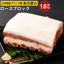 【ふるさと納税】大分県産 ブランド豚 奥豊後豚（米の恵み）ロース ブロック 1.6kg 肉 豚 豚肉 国産 とんかつ トンテキ ブロック肉 かたまり 塊 かたまり肉 冷凍 大分県 BBQ キャンプ 竹田市 送料無料