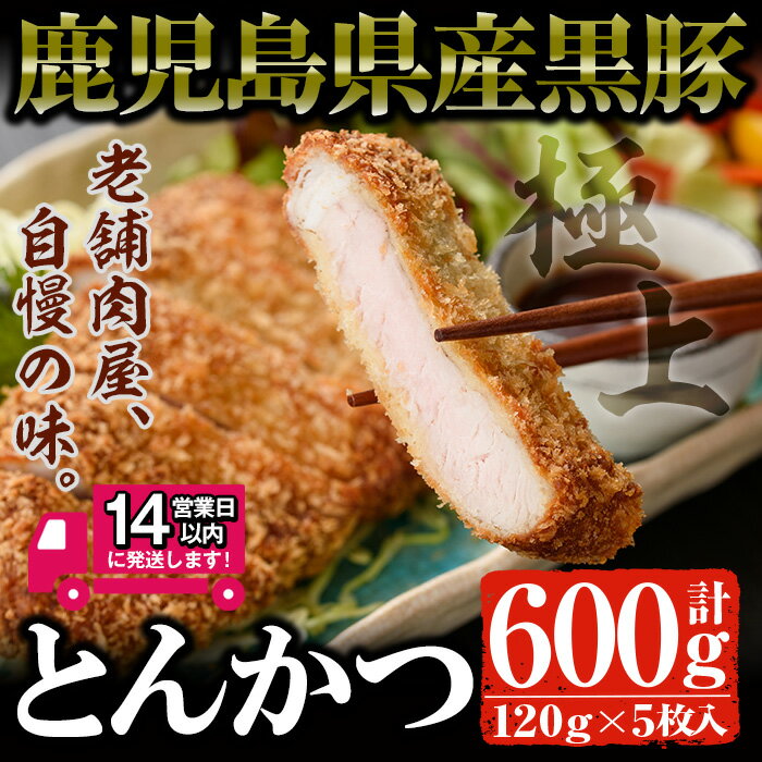 【ふるさと納税】＜14営業日以内発送！＞鹿児島県産 黒豚ロースとんかつセット(120g×5枚・計600g) 国産 鹿児島県産 黒豚 豚肉 ロース肉 お肉 とんかつ トンカツ セット 冷凍【佐多精肉店】