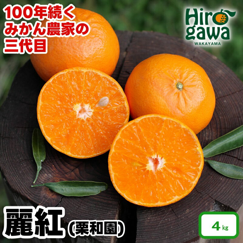 【ふるさと納税】 麗紅 （ れいこう ） 4kg / オレンジ 甘い 和歌山 有田 柑橘 ※2月中旬〜3月下旬に順次発送 //dekopon