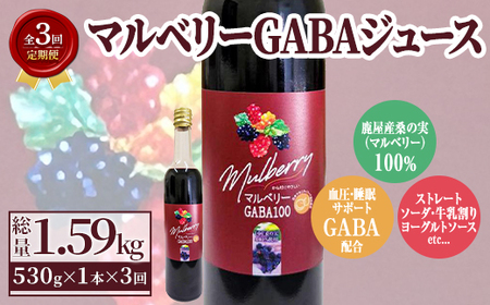 2769 【定期3回】マルベリー GABAジュース 530g入り 1本 鹿屋産 桑の実100％使用（毎月3回お届け） KN092-T01 常温 常温保存 桑 桑の実 マルベリー ベリー ジュース 果汁 飲料 GABA アミノ酸 鹿屋 定期便 健考社 ふるさと納税 鹿児島 鹿屋市 おすすめ ランキング プレゼント ギフト