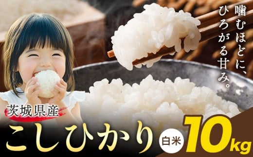 米 こしひかり 白米 令和7年産 茨城 ふるさと米 10kg《1-5日以内に出荷予定(土日祝除く)》 茨城県 結城市 米 国産 お米 おこめ お弁当 おにぎり コシヒカリ