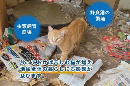 名札スポンサー（ケージ掲示）（047_5008）