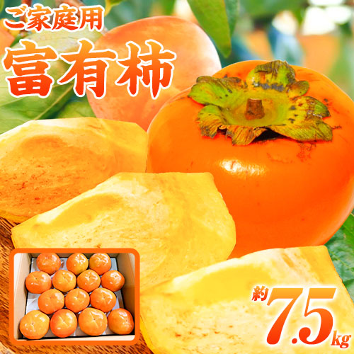 ＜先行予約＞【ご家庭用わけあり】 和歌山 秋の味覚 富有柿 約7.5kg 株式会社魚鶴商店《2025年11月上旬-12月上旬頃出荷》和歌山県 日高町 柿 富有柿 フルーツ