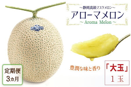 【毎月定期便】アローマメロン白等級(大玉) 1玉 全3回 6261