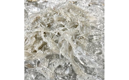 1173.しらす味わいセット(釜あげしらす400g・しらすの佃煮200g)(A1173-1)