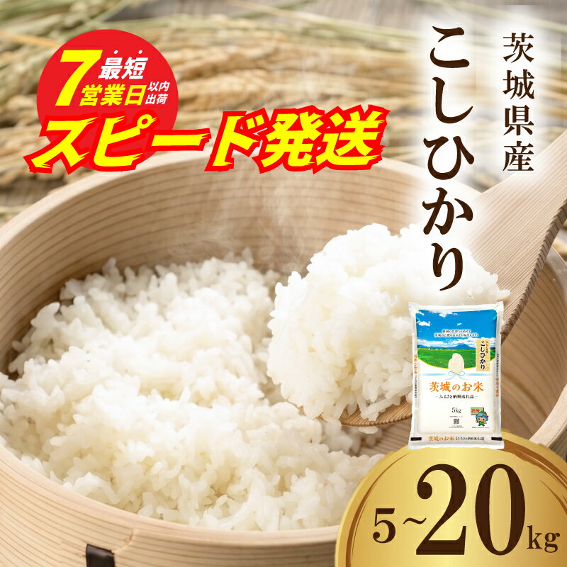 【ふるさと納税】スピード発送 コシヒカリ ( 選べる内容量 回数 5kg ～ 20kg ) 定期便 3ヵ月 6ヵ月 米 お米 コメ 白米 こしひかり 精米 せいまい おこめ オコメ kome R7年産 新生活 応援 スピード配送 スピード 茨城県 筑西市 関東 ※【 令和7年産 】