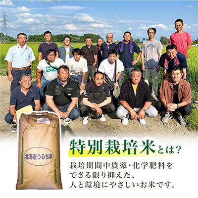 ふるさと納税 旭川市 【数量限定】令和7年産米 北海道産 特Aゆめぴりか 玄米 お米 30kg_00236 |  | 02