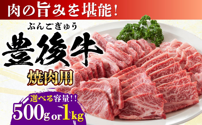 
            【選べる容量】おおいた豊後牛 焼肉用 500g or 1kg 日田市 / 株式会社MEAT PLUS　牛 うし 黒毛和牛 和牛 豊後牛 [AREI021-022]
          