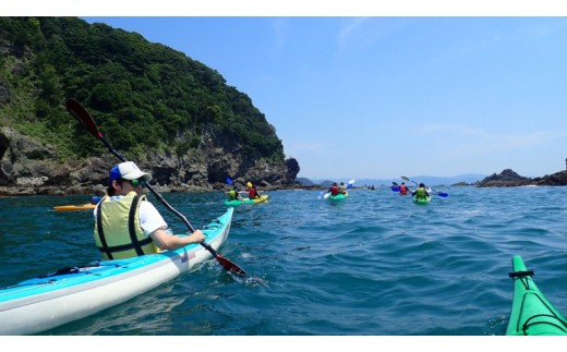 【 シーカヤック体験 】 よくばり 神島コース 2名様分 カヤック 体験 体験型 体験チケット 初心者 インストラクター 利用券 kayak レジャー 海 ビーチ アウトドア 旅行 観光 自然 マリンスポーツ 券 スポーツ アクティビティ 運動 子ども 家族 友人 トラベル 食べ物以外 高知県 須崎市